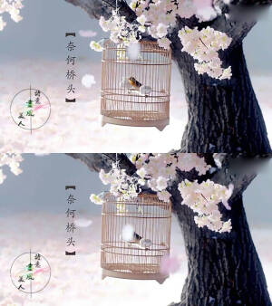 花千骨   落花时节又逢君