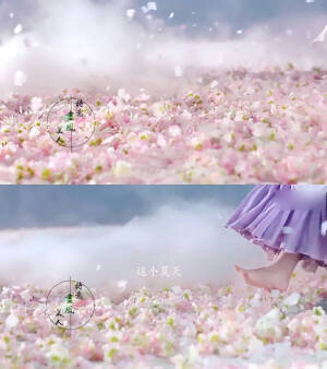 花千骨   落花时节又逢君
