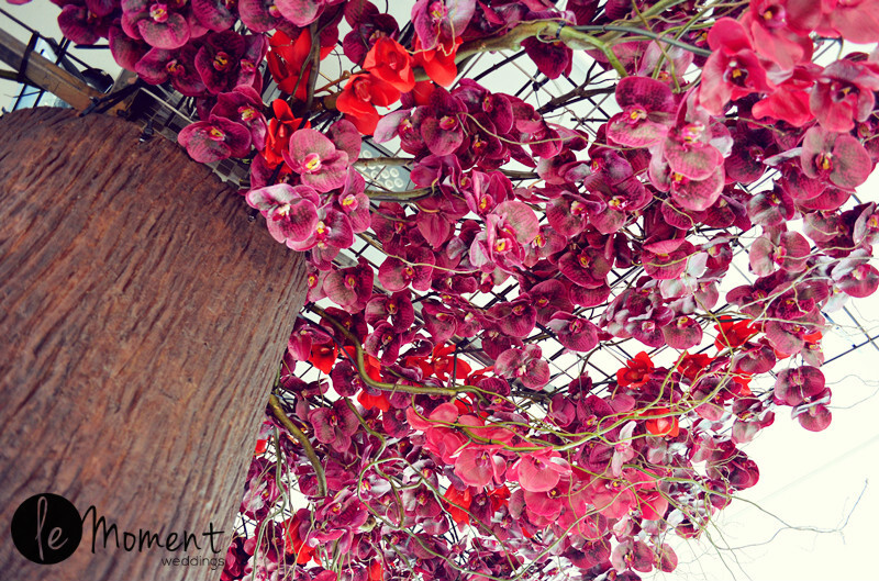 真实婚礼 - 游轮婚礼 Produce by Le Moment