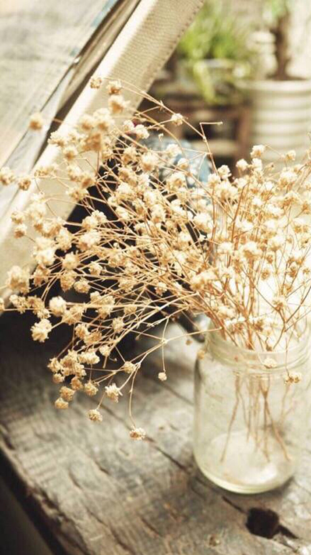 满天星 - 堆糖,美图壁纸兴趣社区