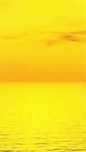 iPhone 壁纸 简约 黄色 yellow