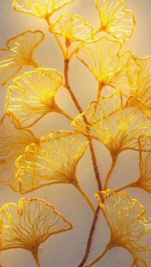 iPhone 壁纸 简约 黄色 yellow