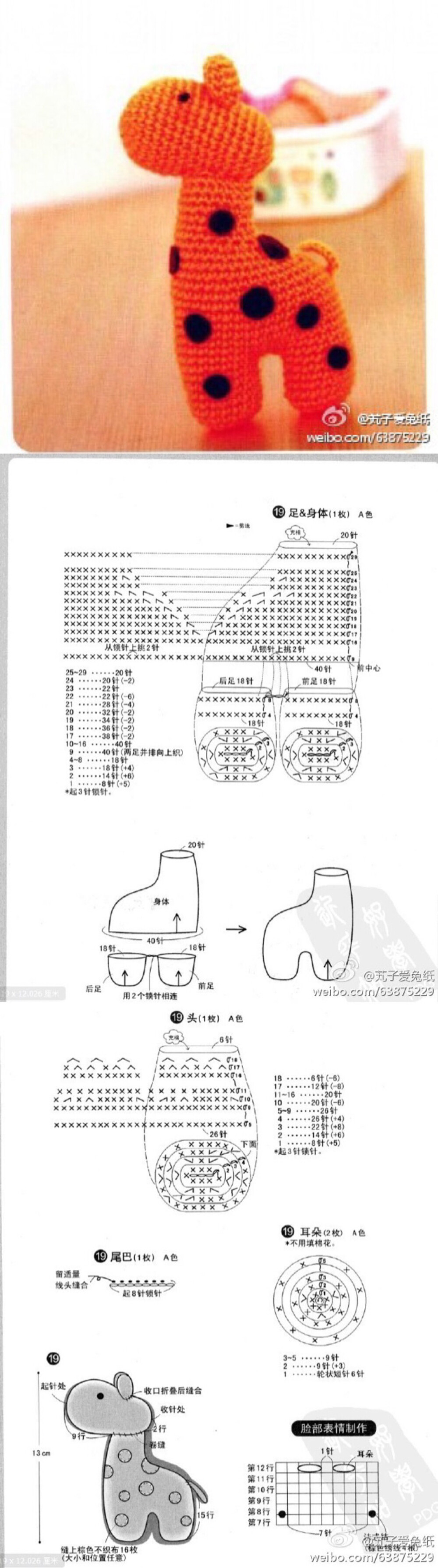 可爱的小鹿