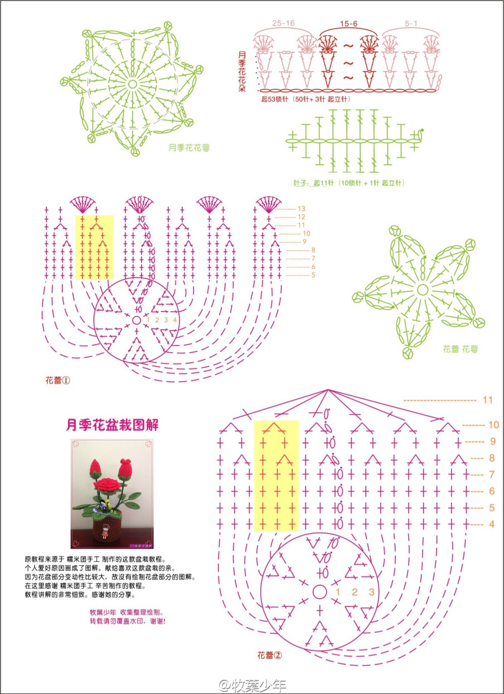 月季花盆景