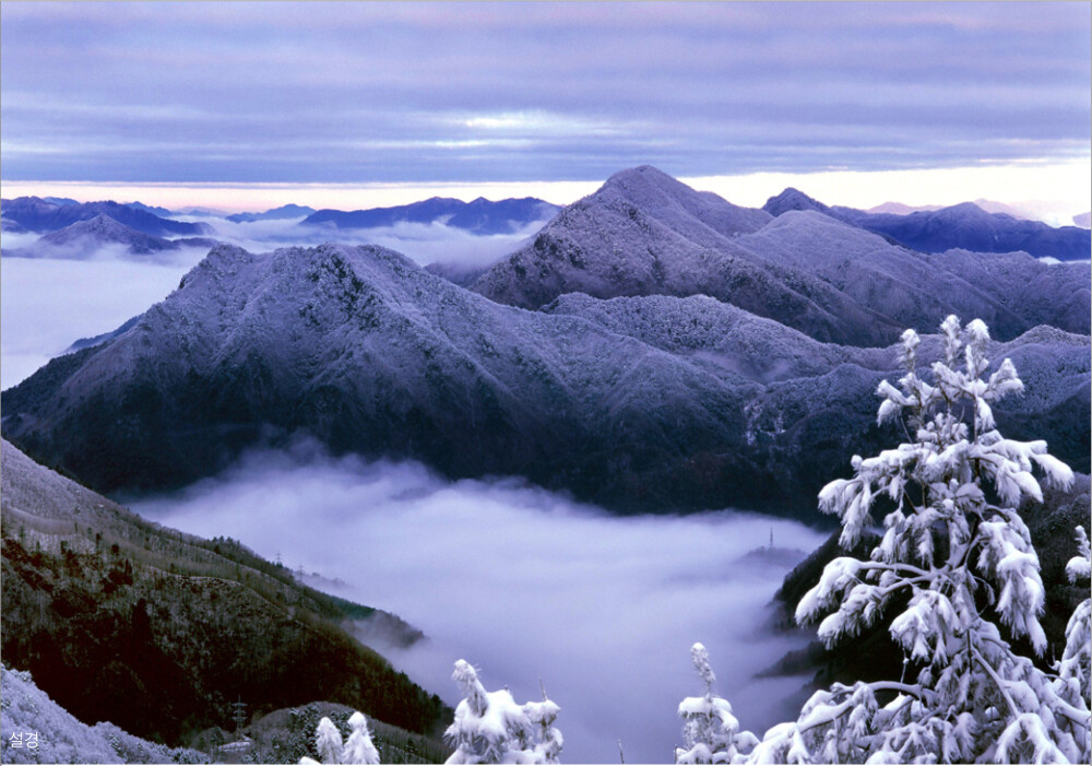 河赵台的雪景