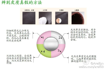 如何辨别皮质真假