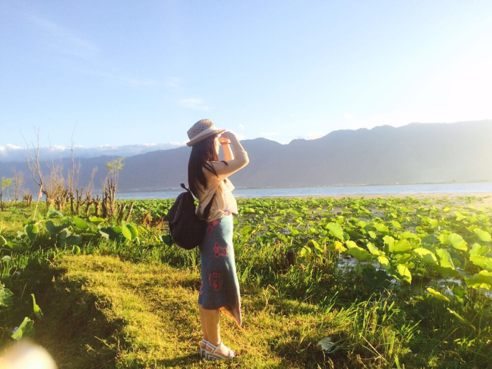 如果爱情就在洱海边