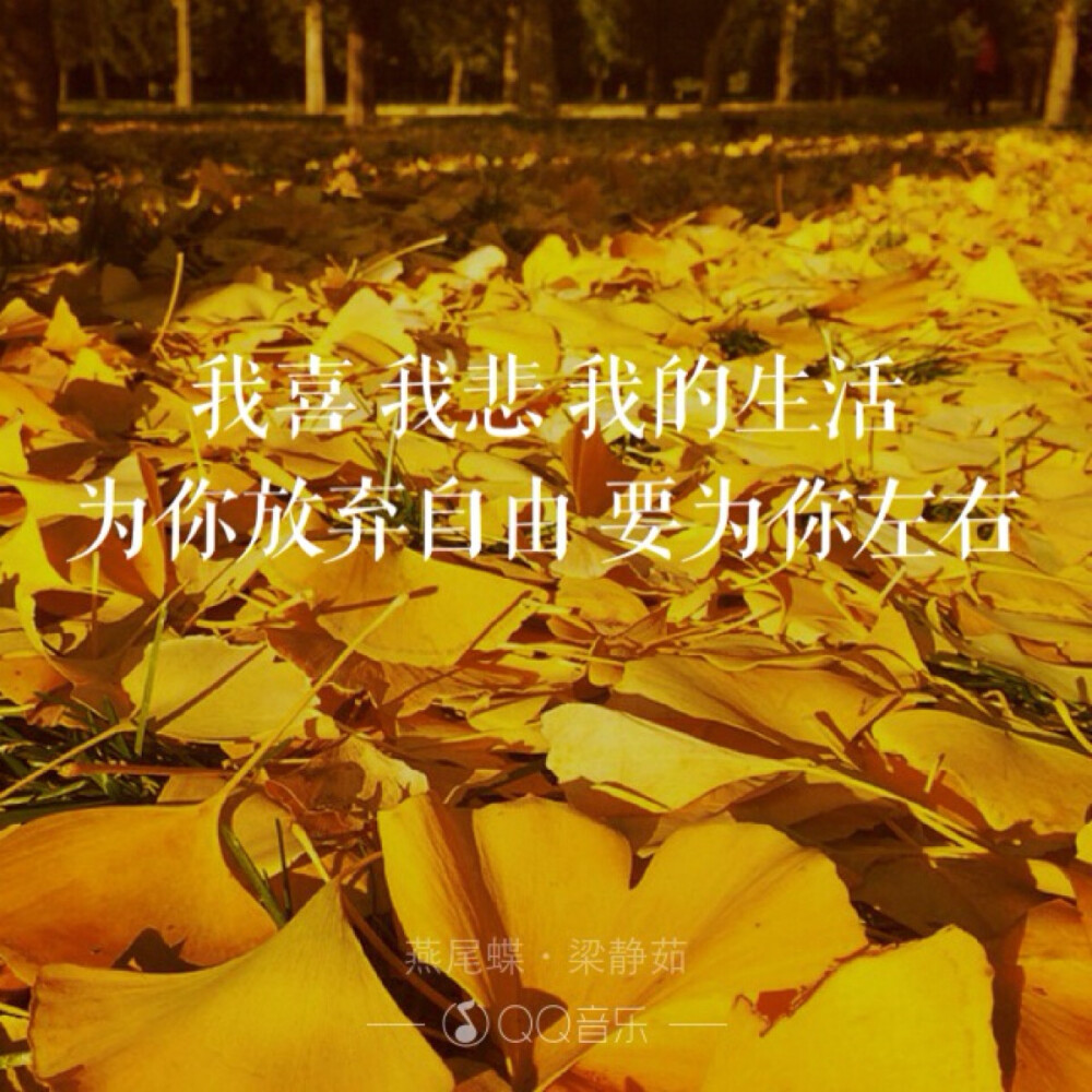 歌词海报－燕尾蝶