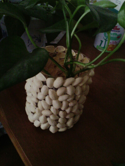 开心瓶！把果壳用热熔胶粘上，粘完以后，检查若有不太牢固的，加固下，加上你喜欢的装饰，就是一个美美的花瓶！