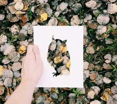 来自艺术家Nikolai Tolstyh的创意剪纸作品，动物剪纸与自然环境的完美结合。