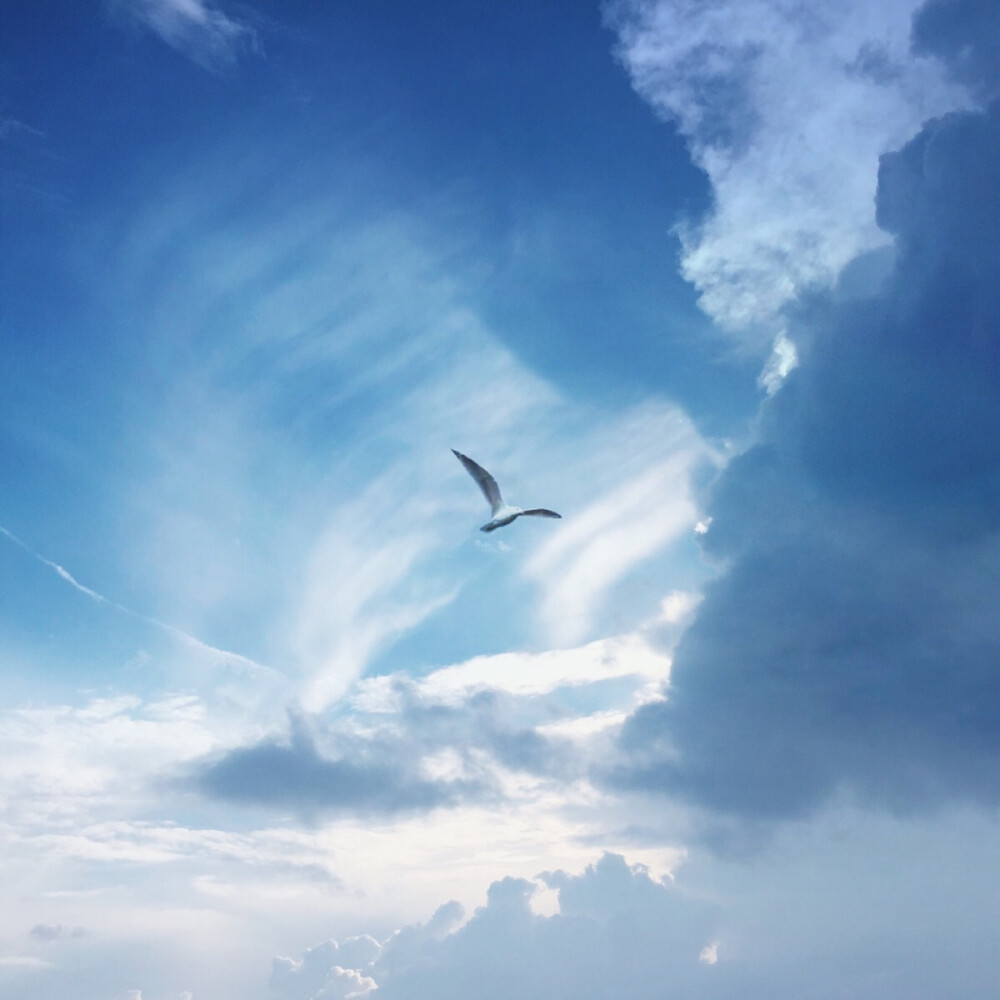 错过的都是风景