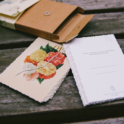 「白糖」花样年华明信片 用短暂的瞬间记录下花朵永恒的美丽