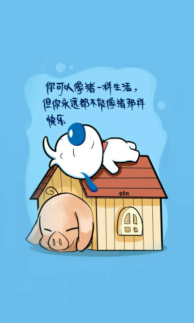 魅族壁纸