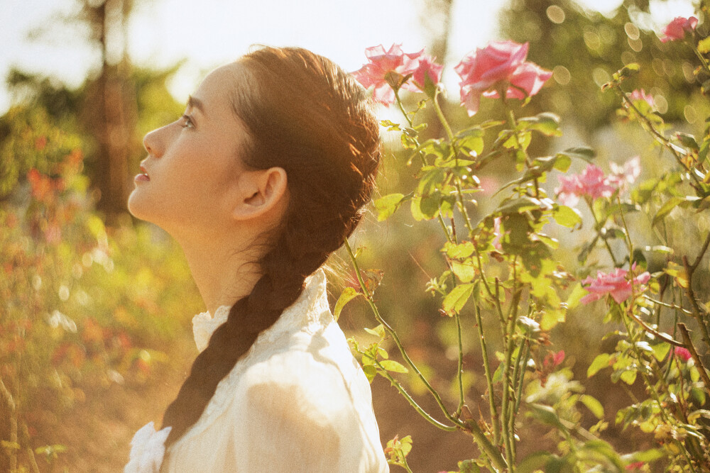 月季园 少女 女生 写真 人像 头像 封面 复古 文艺 森系 逆光 阳光 色彩 湛江 摄影 by 野猪力量灌入