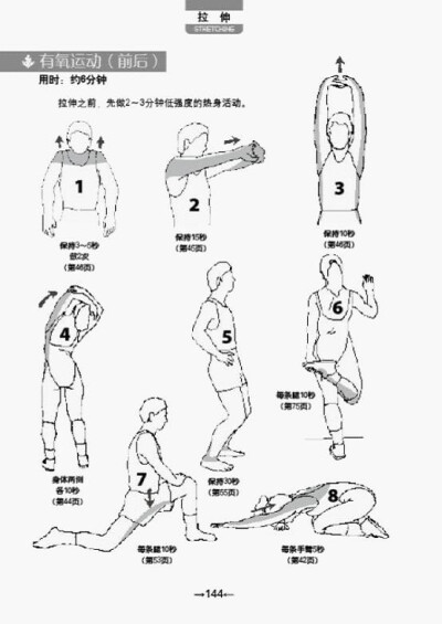 有氧运动前后 拉伸。