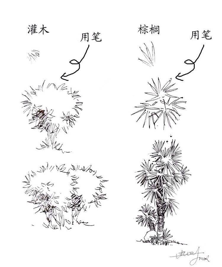 #绘画学习# 一些实用的 植物速写技法，累积下来了好资料，学习！