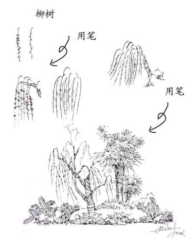 #绘画学习# 一些实用的 植物速写技法，累积下来了好资料，学习！