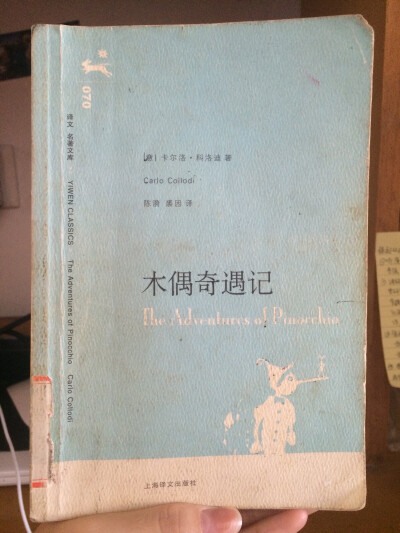 《木偶奇遇记》，满满的童年的回忆，书里的皮诺曹并不是一个彻头彻尾的坏孩子，仙女还有他的爸爸用宽容爱心帮助他成长为一个真正的男孩。其实世界上也一定没有完全的坏孩子，只是需要大人们的体谅引导。