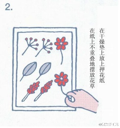 压花