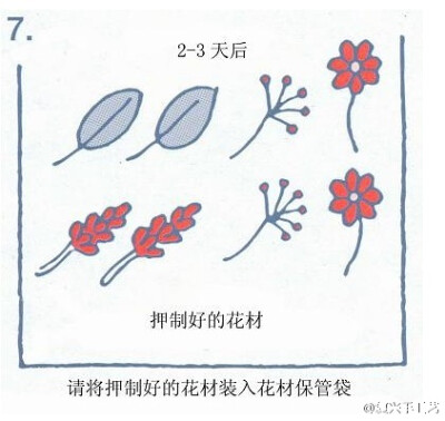 压花