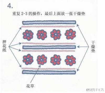 压花