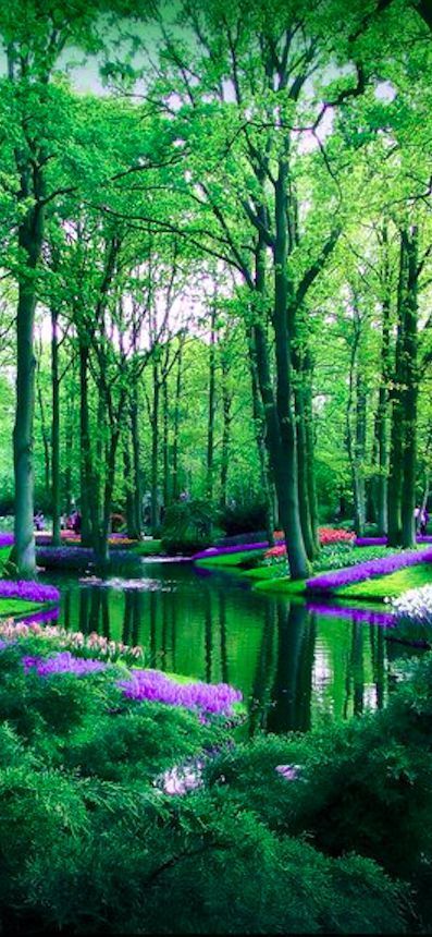 keukenhof gardens in the Netherlands