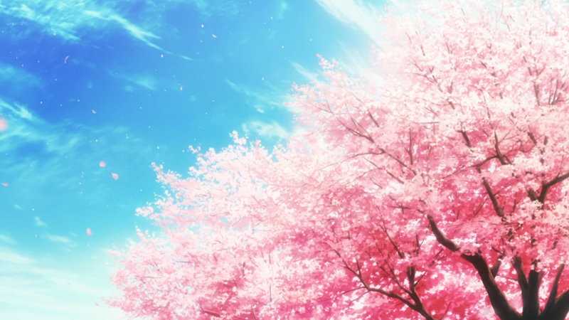 71物71 自截动漫图 景物 风景 樱花 二次元 唯美 色彩 场景 动漫