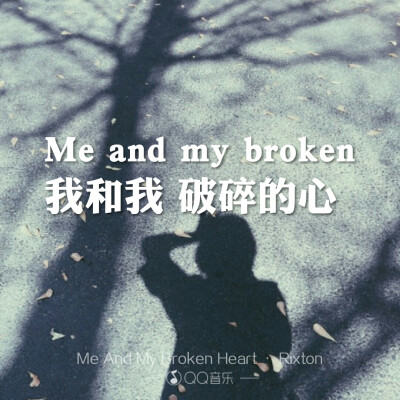 《me and my broken heart》rixton