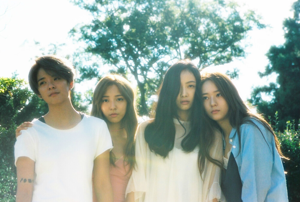 f(x) 4walls