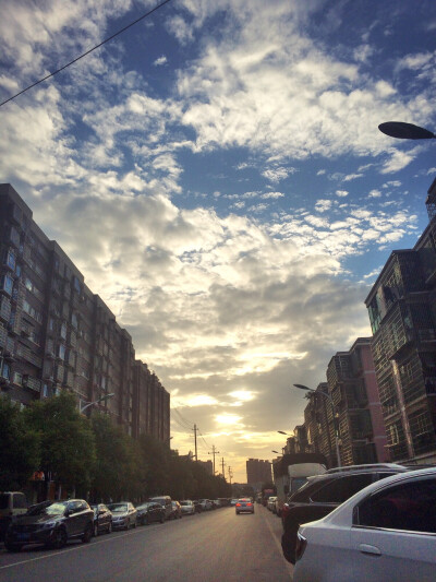 夕阳花水时