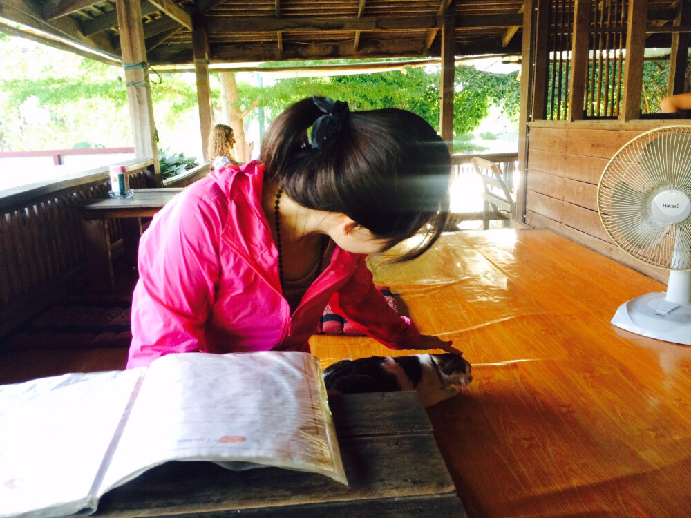 Having Breakfast With Little Kitty @Ayutthaya