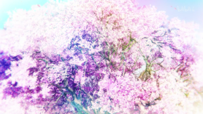 樱子小姐的脚下埋着尸体