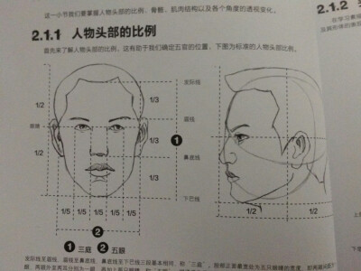 素描 绘画 新手入门 24