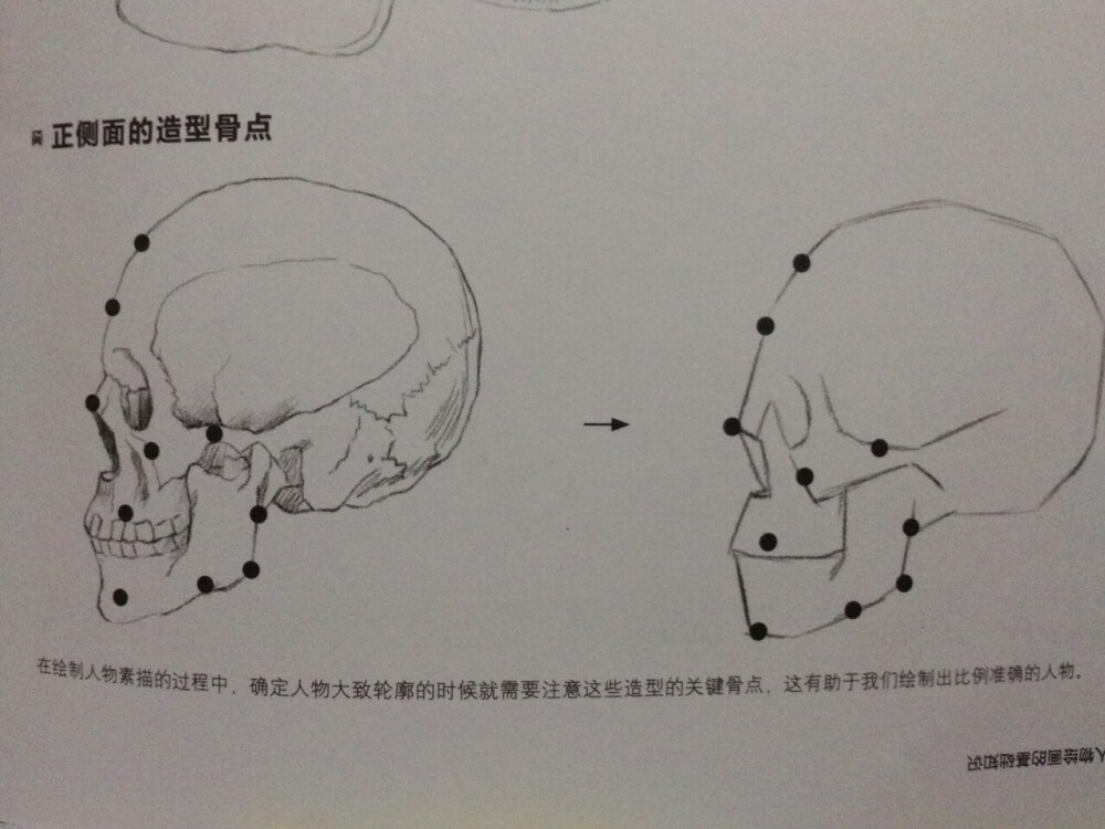 素描 绘画 新手入门 28