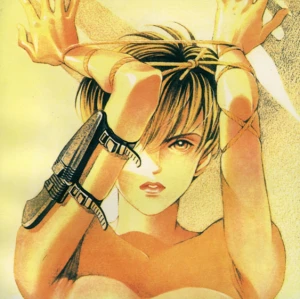 非売品 清水玲子 COLORFUL PICTURES 清水玲子- 堆糖