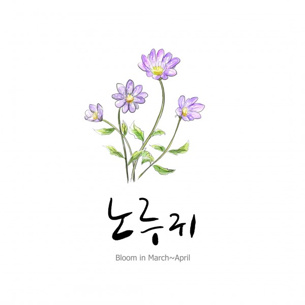 花草素描图片（植物是素描的一大难点呢，画花草的画，一定要注意千万别把叶子画的太相似 还有注意花瓣的纹路走向一般都是有花心向外辐射状的纹路。）