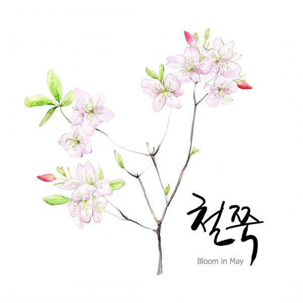 花草素描图片（植物是素描的一大难点呢，画花草的画，一定要注意千万别把叶子画的太相似 还有注意花瓣的纹路走向一般都是有花心向外辐射状的纹路。）