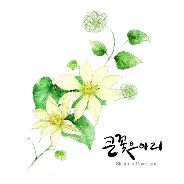 花草素描图片（植物是素描的一大难点呢，画花草的画，一定要注意千万别把叶子画的太相似 还有注意花瓣的纹路走向一般都是有花心向外辐射状的纹路。）