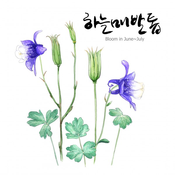 花草素描图片（植物是素描的一大难点呢，画花草的画，一定要注意千万别把叶子画的太相似 还有注意花瓣的纹路走向一般都是有花心向外辐射状的纹路。）