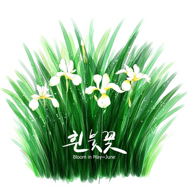 花草素描图片（植物是素描的一大难点呢，画花草的画，一定要注意千万别把叶子画的太相似 还有注意花瓣的纹路走向一般都是有花心向外辐射状的纹路。）