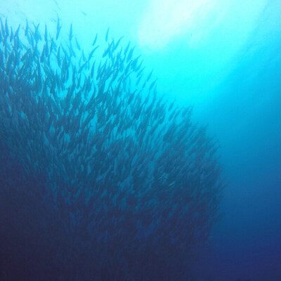 深海