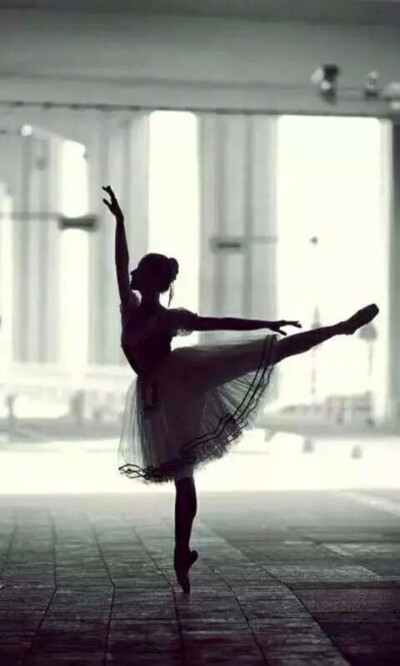 芭蕾是世上最优雅的舞蹈 iPhone高清壁纸