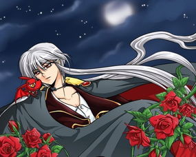 『暗夜协奏曲』维拉德。