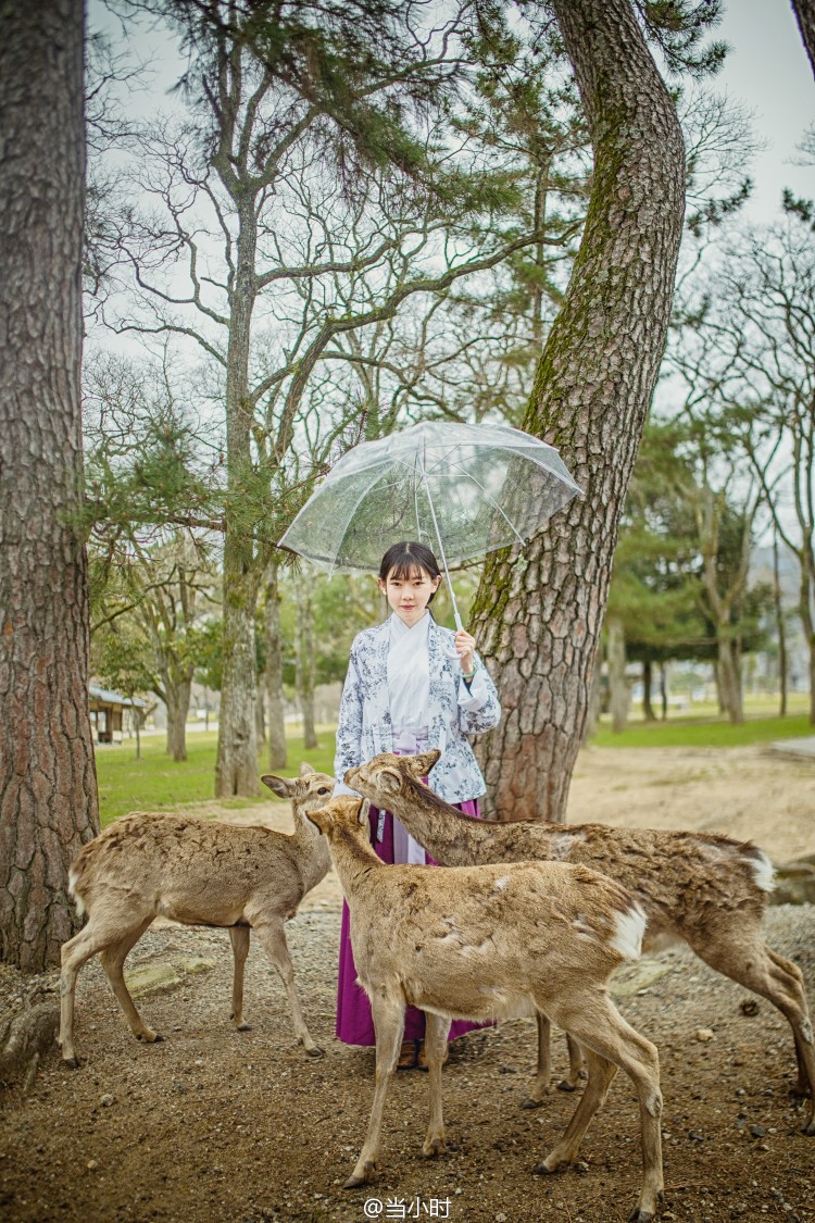 #带着汉服去旅行# 天时人事日相催，冬至阳生春又来。@弥秋女怪兽 服装/@芥子记 拍摄地/东大寺 摄影/@当小时