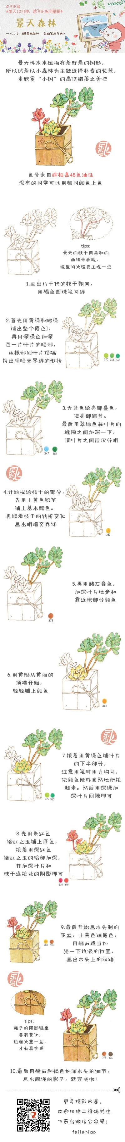 飞乐鸟～166飞乐鸟～190【绘画教程】酸浆果20#飞乐鸟的周末绘时光