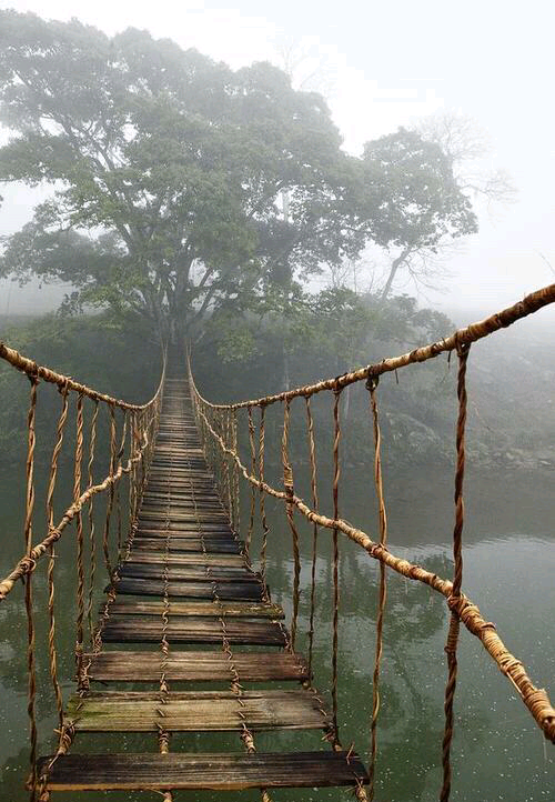 「桥」
迷雾中的吊桥