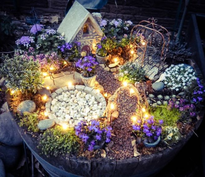 Mini garden with solar twinkle lights. Plants include baby's tears, ageratum, allysum, lobelia, mini variegated olive tree, Irish moss (as the grass), sedum (as the baby cabbages), Isotoma Laurentia, Leptinella, and wire vine climbing up the arbor. Drip i