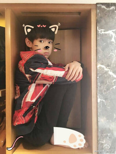 你是我的专属天使