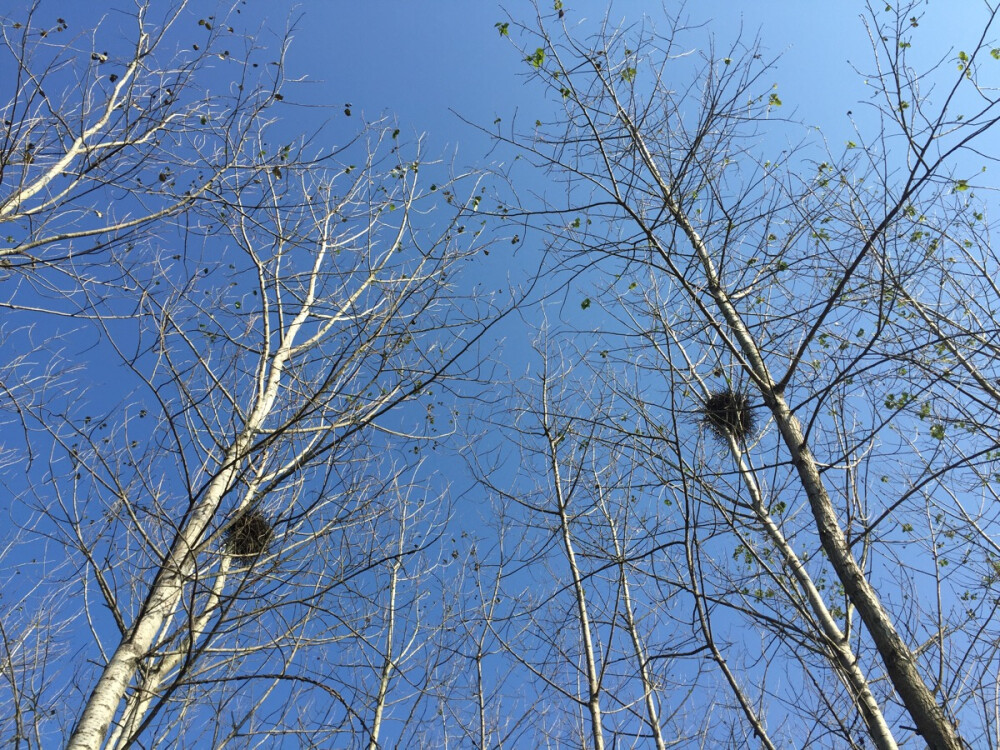 山水相逢的是一段往事；蝶恋春天的是一种情怀；而我们相遇的，是一个故事。 有些人在我们的生命里，不期而遇，又在寂静的时光里，渐行渐远；有些人一旦入心，便再也不会忘记。