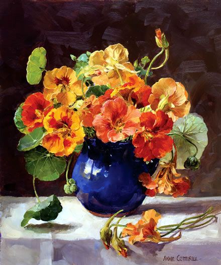 Anne Cotterill